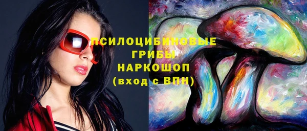 MESCALINE Аркадак