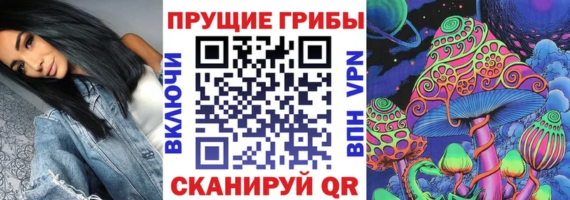 дарнет шоп  Нарткала  Псилоцибиновые грибы Magic Shrooms 